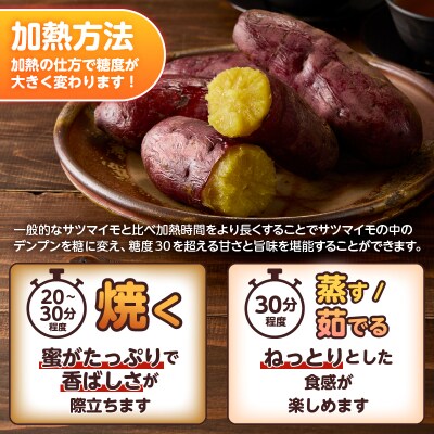 【先行受付】富士美芋 生4.5kg さつまいも 甘い 期間限定 富士市 [sf070-002]