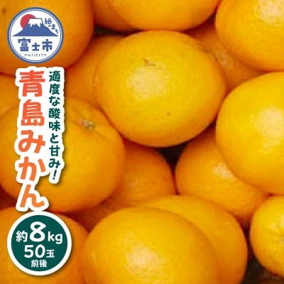 青島みかん8kg [sf001-003]