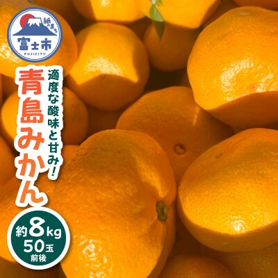 青島みかん8kg