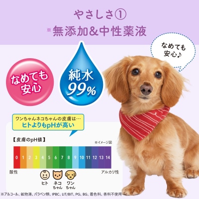 キミおもい 肌にやさしいウエットティシュー 純水99% 70枚×3P [sf006-005]