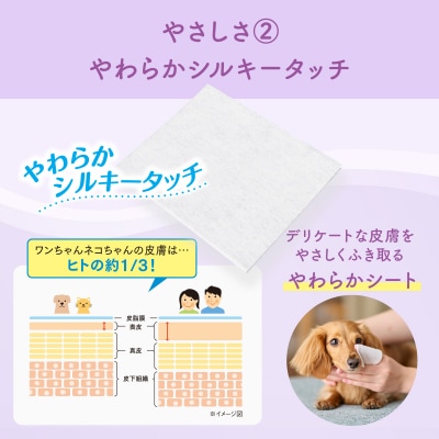 キミおもい 肌にやさしいウエットティシュー 純水99% 70枚×3P [sf006-005]