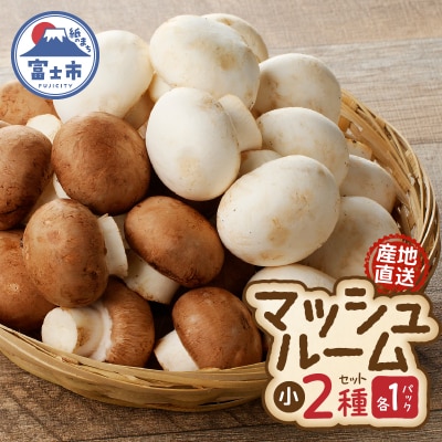 長谷川農産 マッシュルーム(小)×2パックセット 産地直送 [sf002-351]