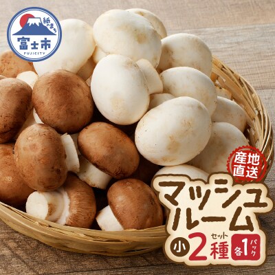 長谷川農産 マッシュルーム(小)×2パックセット 産地直送