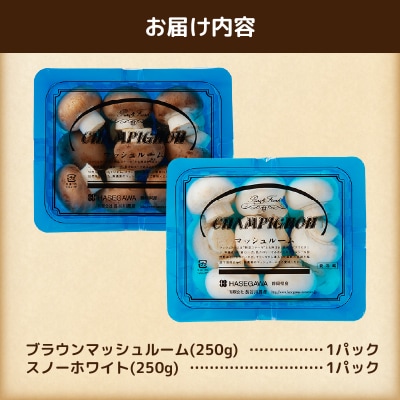 長谷川農産 マッシュルーム(小)×2パックセット 産地直送 [sf002-351]