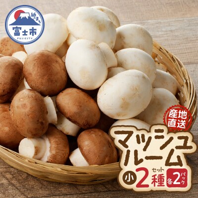長谷川農産 マッシュルーム(小)×4パックセット 産地直送 [sf002-352]