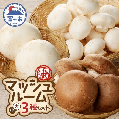 長谷川農産 マッシュルーム3種セット 産地直送
