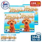 定期便【全3回 3か月毎】パワーシート レギュラー 96枚【4袋入】 [sf024-025]