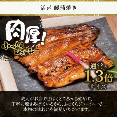 冷凍 活〆 鰻蒲焼き2人前セット