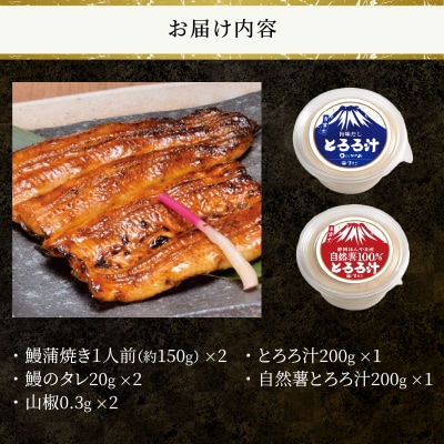 冷凍 活〆 鰻蒲焼き2人前・とろろ汁1個・自然薯100%とろろ汁1個セット [sf095-003]
