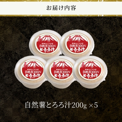冷凍 自然薯100%とろろ汁5個セット [sf095-006]