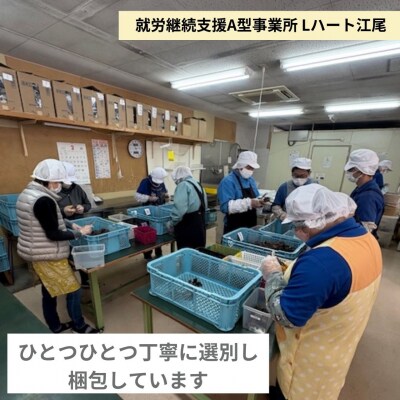 富士山乾燥きくらげ 10g×10個入り [sf068-029]