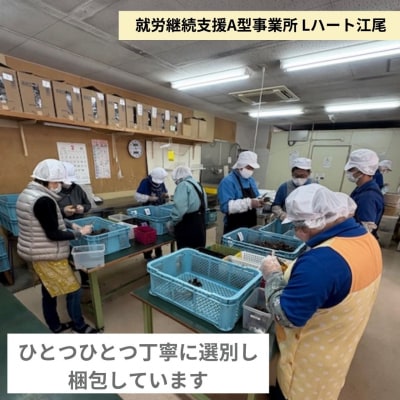【就労継続支援】富士山乾燥きくらげ 10g×10個入り [sf068-029]