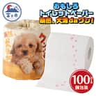 断然、犬派daワン! トイレットペーパー [sf001-099]
