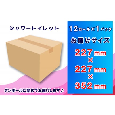 定期便 【全12回】トイレットペーパー ダブル シャワートイレット [sf077-120]