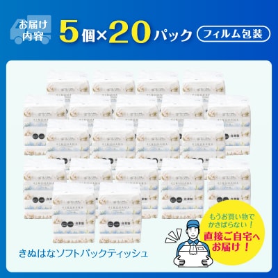 きぬはなソフトパックティッシュ 100個(5個×20パック) [sf002-385]