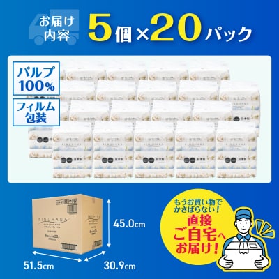 きぬはなソフトパックティッシュ 100個(5個×20パック) [sf002-385]