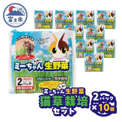 ミーちゃんスッキリ生野菜 2パック×10個 猫草栽培セット [sf002-386]