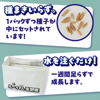 ミーちゃんスッキリ生野菜 2パック×10個 猫草栽培セット [sf002-386]