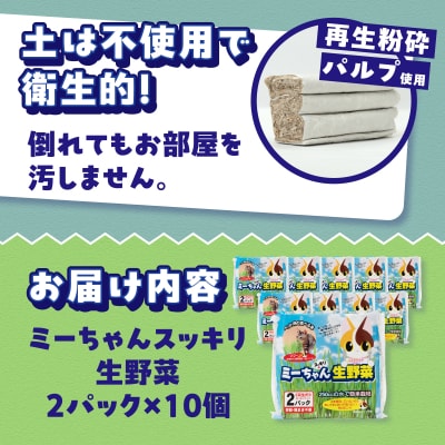 ミーちゃんスッキリ生野菜 2パック×10個 猫草栽培セット [sf002-386]