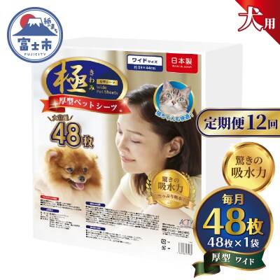 定期便【全12回】【極】シリーズ 犬用ペットシーツ 厚型ワイド 48枚 ペットシート 日本製