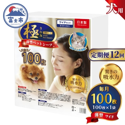 定期便【全12回】【極】シリーズ 犬用ペットシーツ 薄型ワイド 100枚 ペットシート 日本製