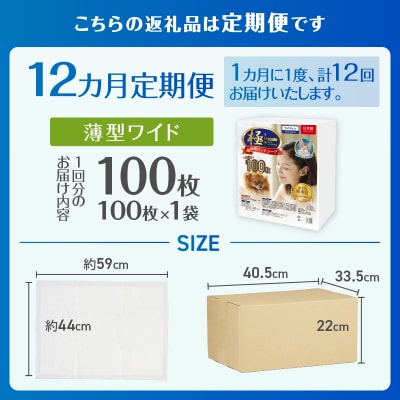 定期便【全12回】【極】シリーズ 犬用ペットシーツ 薄型ワイド 100枚 ペットシート 日本製