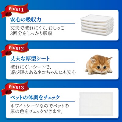 定期便【全12回】【極】シリーズ 猫用ペットシーツ 厚型レギュラー 96枚 システムトイレ用 日本製