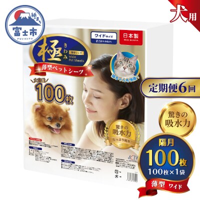 定期便【全6回】【極】シリーズ 犬用ペットシーツ 薄型ワイド 100枚 ペットシート 日本製