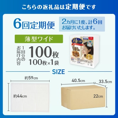 定期便【全6回】【極】シリーズ 犬用ペットシーツ 薄型ワイド 100枚 ペットシート 日本製