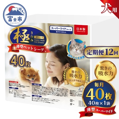 定期便【全12回】【極】シリーズ 犬用ペットシーツ 薄型スーパーワイド 40枚 ペットシート 日本製