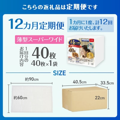 定期便【全12回】【極】シリーズ 犬用ペットシーツ 薄型スーパーワイド 40枚 ペットシート 日本製