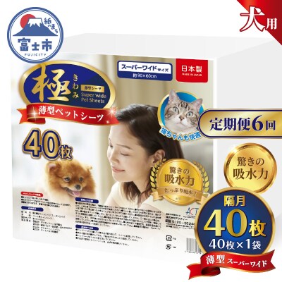 定期便【全6回】【極】シリーズ 犬用ペットシーツ 薄型スーパーワイド 40枚 ペットシート 日本製