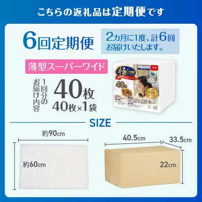 定期便【全6回】【極】シリーズ 犬用ペットシーツ 薄型スーパーワイド 40枚 ペットシート 日本製