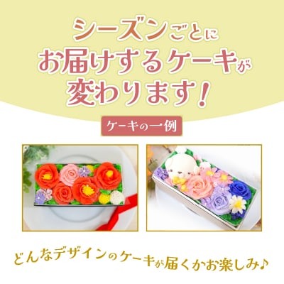 おはなと動物のあん(餡)ケーキ 季節限定BOX [sf002-382]