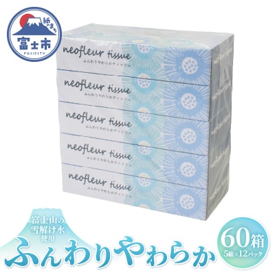 スリムボックスティッシュ 5箱 12パック 消耗品 備蓄 ティッシュペーパー[sf077-156]