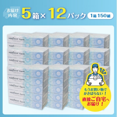 スリムボックスティッシュ 5箱 12パック 消耗品 備蓄 ティッシュペーパー[sf077-156]