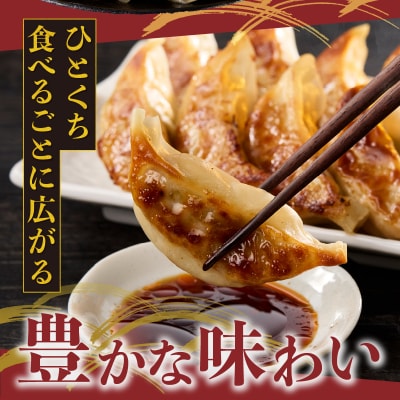 鰹出汁の和風餃子(20個)とニンニクのスタミナ餃子(20個) [sf001-219]