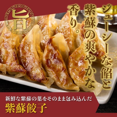 紫蘇餃子(30個)とニンニクのスタミナ餃子(30個) [sf001-224]