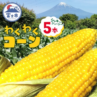 わくわくコーン(5本入) [sf001-341]