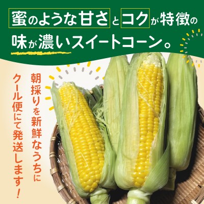 わくわくコーン(5本入) [sf001-341]