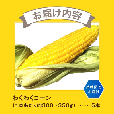 わくわくコーン(5本入) [sf001-341]