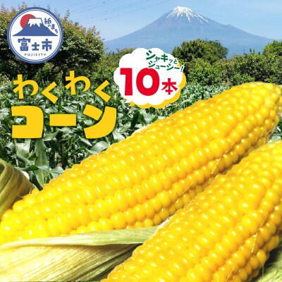 わくわくコーン(10本入) [sf001-094]