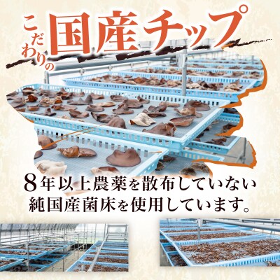 富士山きくらげ 乾燥20gセット [sf018-004]