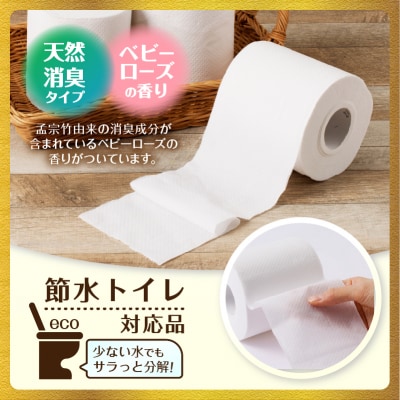 定期便【全3回毎月発送】エコロジープレミアム トイレットペーパー1パック [sf002-437]