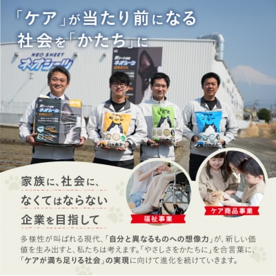 定期便【全6回毎月発送】ネオ砂おから 10L×1袋 [sf002-471]