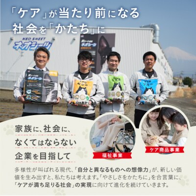 定期便【全6回毎月発送】ネオ砂ひのき 12L×1袋 [sf002-472]