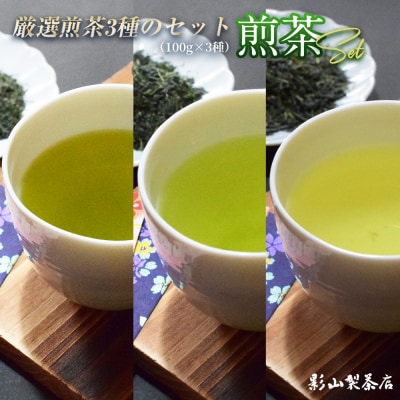 影山製茶店の一番良いお茶、特上煎茶 3種各1袋 3袋セット [sf001-278]