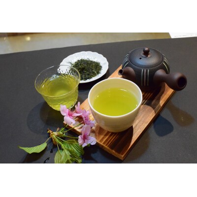 店主が贈り物に薦める逸品。一番摘み高級煎茶「さくらみどり」 2袋セット [sf001-279]
