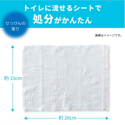 クリーンワン ペット用流せるウェットティッシュ70枚入2個パック×18袋 [sf002-239]