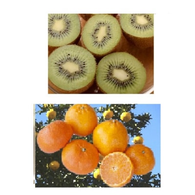 みかん3kg&キウイフルーツ(ヘイワード)2kgの詰め合わせ(1008)